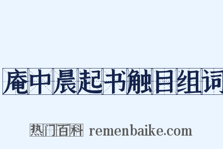 庵中晨起书触目组词是什么意思的图片